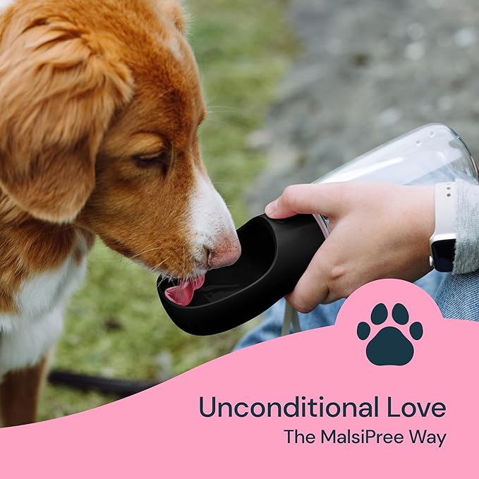 MalsiPree Dog Water Bottle - 19 Oz, Black, BPA-Free Stainless Steel - Portable & Lightweight Water Dispenser with Bowl for Dogs - Leak-Proof & No-Waste Design for Travel