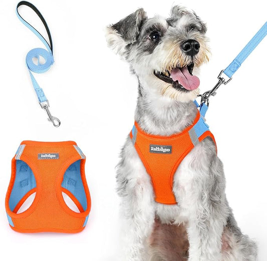 rabbitgoo Dog Harness Small Medium Sized and Leash Set, Step in Soft Light Puppy Vest, Breathable Mesh Pet Harness, Reflective for Safe Easy Walking, Blue & Orange XL