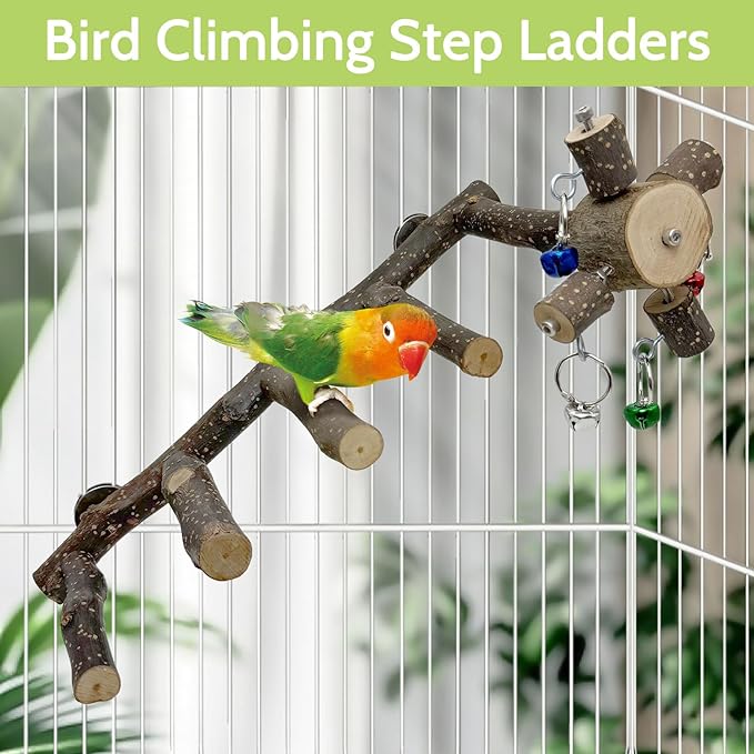 BNOSDM Natural Wood Bird Ladder Perch 6Pcs Parrot Stand Branches Climbing Chewing Stick Parakeet Swing Toys Cage Accessories Paw Grinding Fork Sets for Lovebirds Cockatiels Conure Budgies