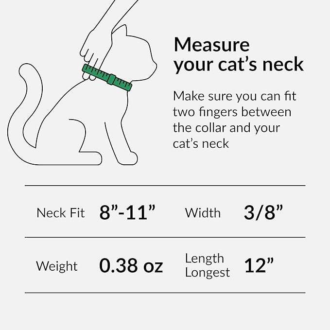 CollarDirect Leather Cat Collar with Bell - Kitten Collar, Small and Big Cat Strap for Boy Cats, Girl Cats with Safety Elastic Strap (Neck Fit 8"-11", Black)