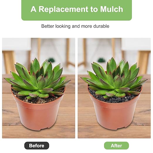 2.5lbs Lava Rocks for Plants, 1/5 Inch Black Gravel for Succulent, Cactus, Bonsai Tree, Pure Volcanic Rocks, Top-Dressing, Good Drainage