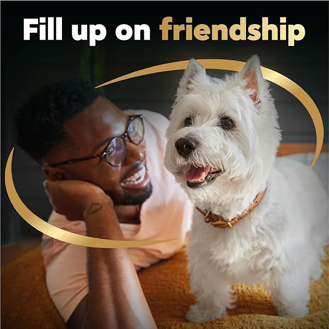 Cesar Filets in Gravy Wet Dog Food Filet Mignon Flavor and Rotisserie Chicken Flavor Variety Pack, 1.76 oz. Mini-Pouches (20 Count, Pack of 2)