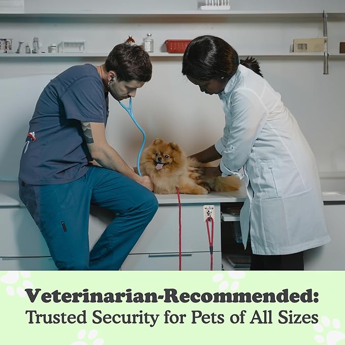 Canine Hitch- Secure Dog Leash Parking Mounted Indoor – Outdoor Wall Hook - Tie Out Stainless Steel Practical Lead Management for Home & Business, Ultimate Strength