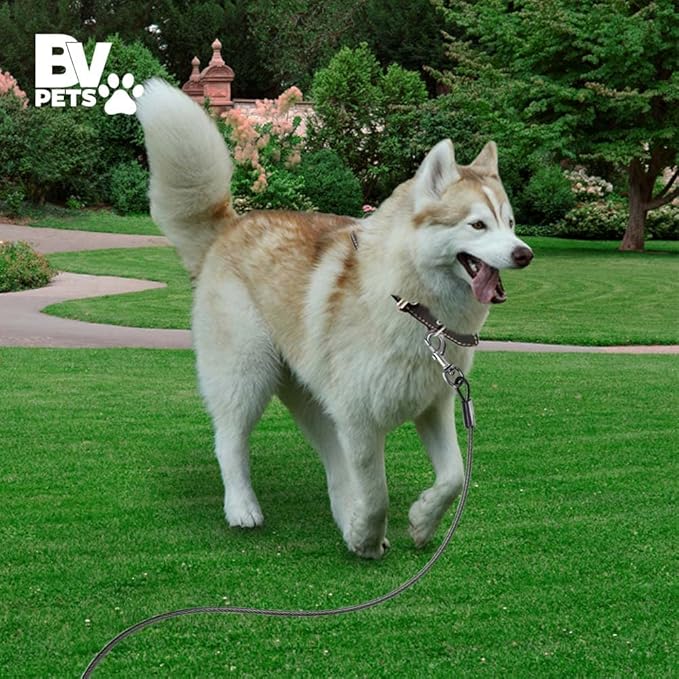 BV Dog Tie Out Cable 25 Feet - Heavy Duty Dog Lead Up to 250 Pounds - Reflective & Rust-Free with Quick Release Swivel Clips & 360° Rotating Clasp - Tangle-Free Dogs Runner for Yard (Grey, Single)