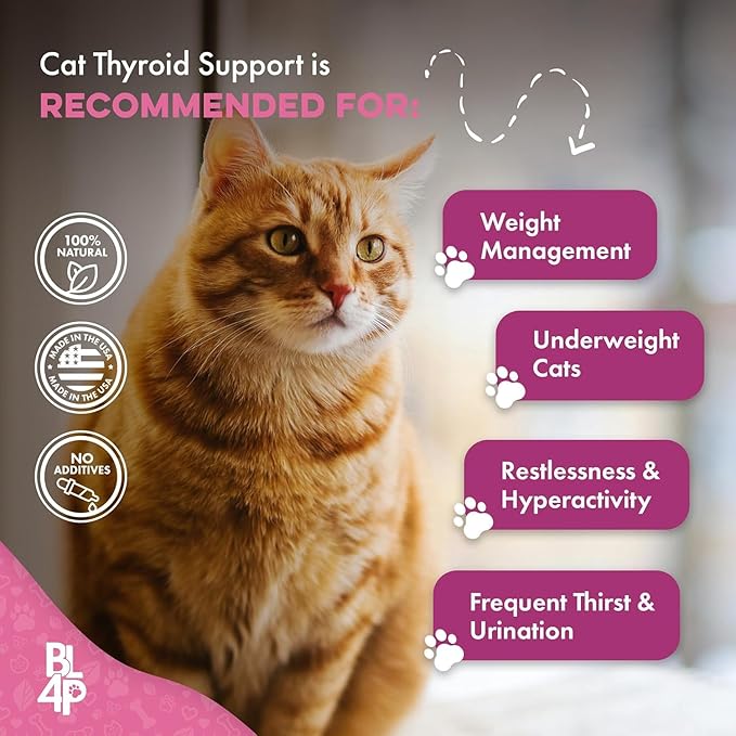 Cat Weight Gain & Hyperthyroidism Treatment, Safe and Effective Cat Appetite Stimulant, Thyroid and Metabolic Support, Weight Management Remedy, 800 All-Natural Odorless, Tasteless Pills