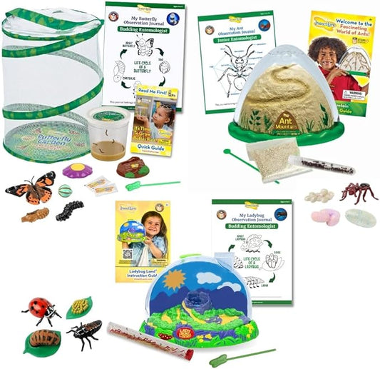 Insect Lore Bug Camp Bundle | Butterfly Kit with 1 Cup Live Caterpillars | Ladybug Land with 1 Tube Live Larvae | Ant Mountain with 1 Tube Live Western Harvester Ants | Life Cycle Figurines & More
