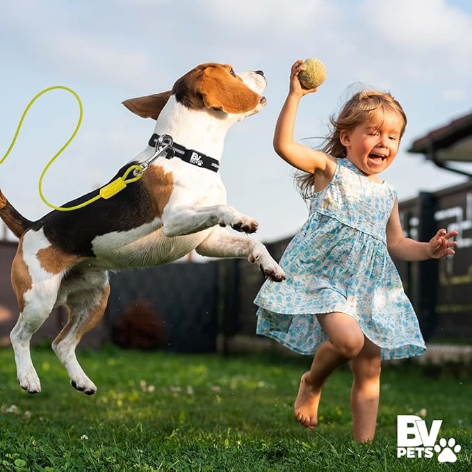 BV Dog Tie Out Cable 25 Feet - Heavy Duty Dog Lead Up to 35 Pounds - Reflective & Rust-Free with Quick Release Swivel Clips & 360° Rotating Clasp - Tangle-Free Dogs Runner for Yard (Yellow, Single)