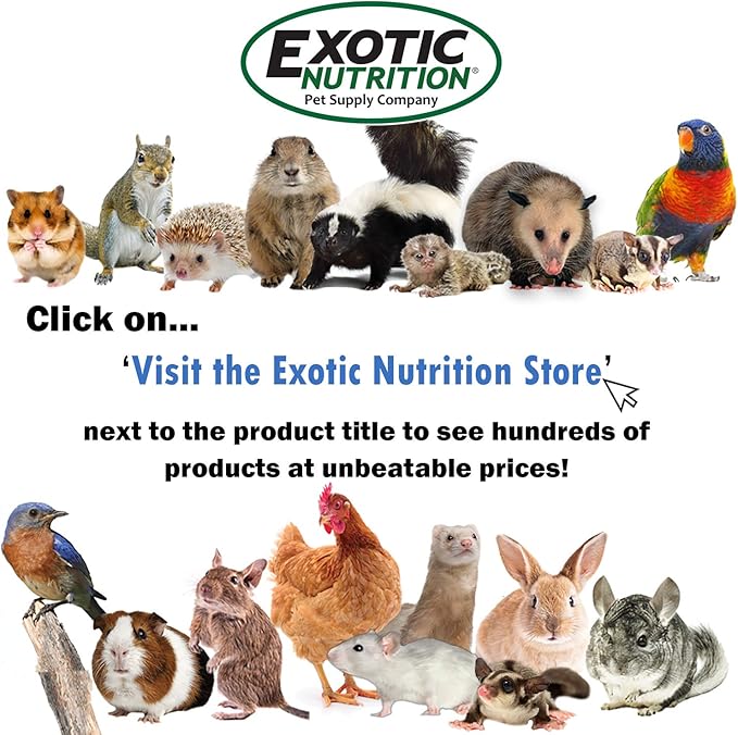 Squirrel Complete (4 lb.) - Healthy Natural Food - Nutritionally Complete Diet for Squirrels - Ground, Grey, and Flying Squirrels