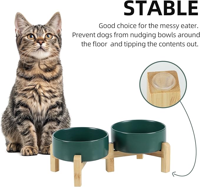 Ceramic Raised Double Bowls Set with Stand, 2 Heights Elevated, Food & Water Bowls for Small Breed Dogs, Cats, Kitty, Weighted Dog Dishes, Pet Bowls(5.1'',13.5oz, Green)