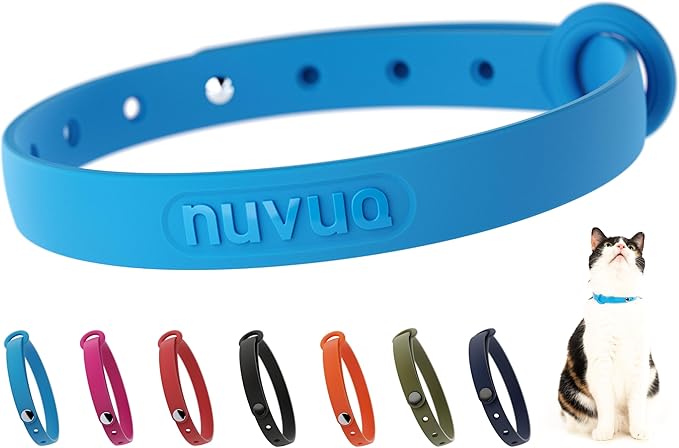 Breakaway Cat Collar - Soft, Comfortable, and Lightweight Safety Buckle Collar with ID Tag Ring for Outdoor Cats and Sensitive Skin Kittens by Nuvuq (6 ⅞" to 10 ¼", Blue)