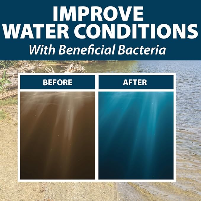 Airmax Pond Dye Plus, Nature's Blue Colorant & Natural Beneficial Bacteria, Large Pond & Lake Water Clarifier & Color Treatment, Shade Plants & Algae from Sunlight, Fish & Livestock Safe, 4 Gallons