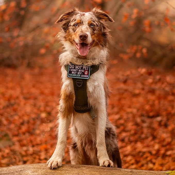 rabbitgoo Dog Harness Medium Sized No Pull, Tactical Service Pet Vest with Molle and Control Handle, Adjustable and Reflective Military Harness for Easy Walking and Training, Blue, M