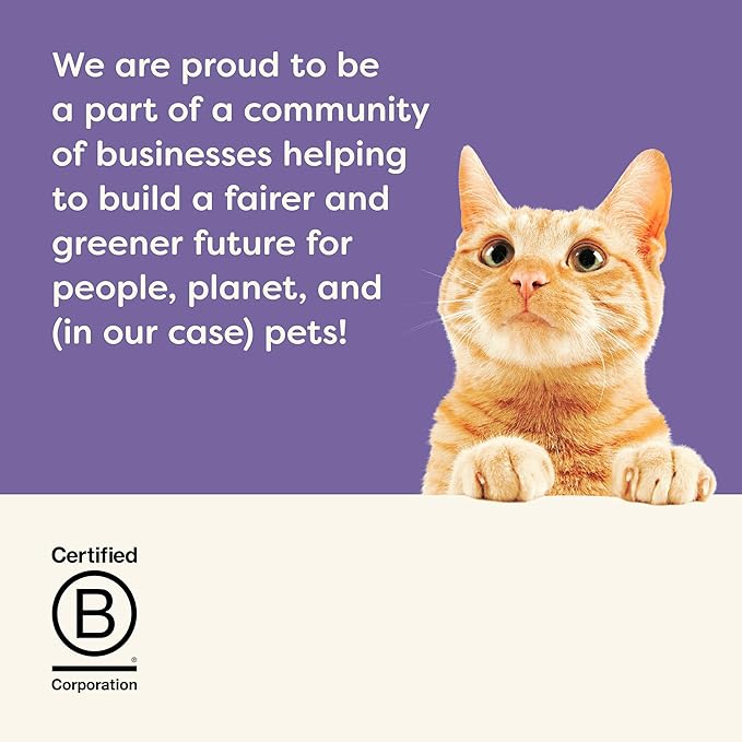 Applaws Natural Wet Cat Food in Broth, Limited Ingredient Canned Wet Cat Food, No Additives, Made with Natural Ingredients, Kitten Variety in Broth Cans (16 x 2.47oz Cans)