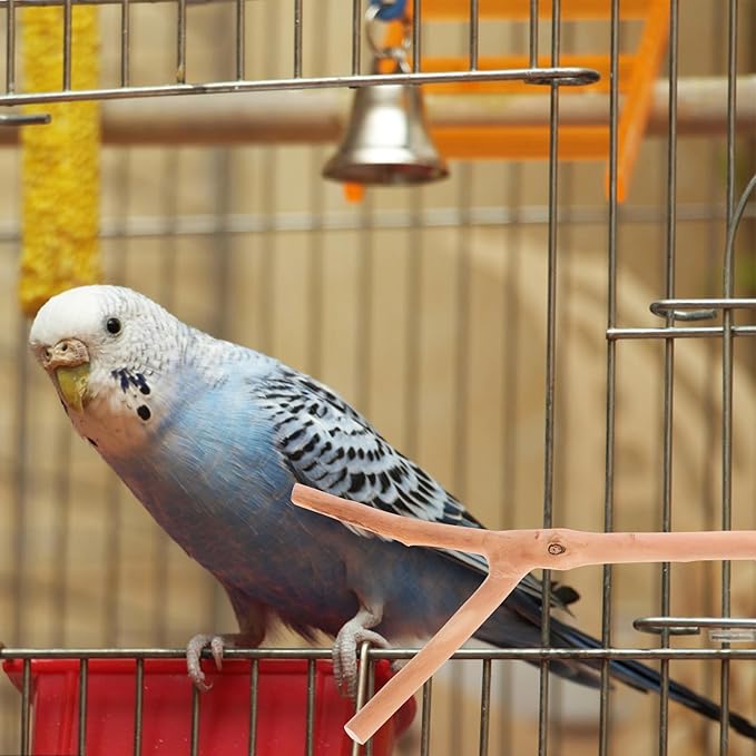 2pcs Bird Parrot Perch Stand Poles, Natural Wooden Parrot Perch for Cage, Branches Fork Rod for Small Parakeets Cockatiels Conure Lovebirds Bird Cage Accessories