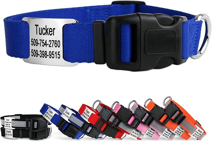 GoTags Personalized Dog Collar with Nameplate, Adjustable Dog Collar with Custom Engraved Slide On Pet ID Tag in Stainless Steel, Silent, No Noise Dog Tag for Large Medium and Small (Blue, Large)