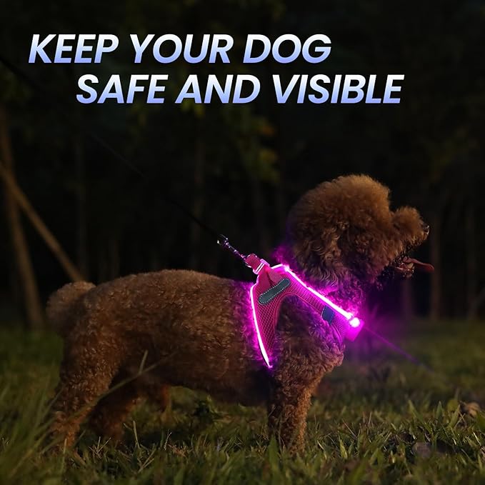 PceoTllar Light Up Dog Harness, LED No Pull Reflective Dog Harness, Flashing Lighted for Night Walking - Small/Medium, (Pink,XS)