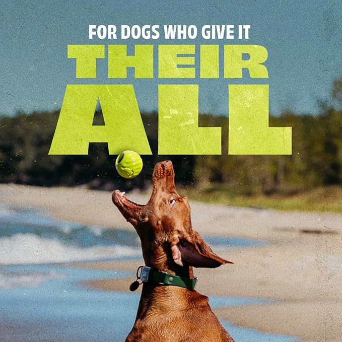 Benebone Dog Ball, Natural Rubber