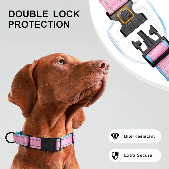 Airtag Dog Collar with Martingale Design, IP68 Waterproof Air Tag Collar Holder, Adjustable Reflective Soft Padded Nylon Dog Collar for Large Medium Small Dogs