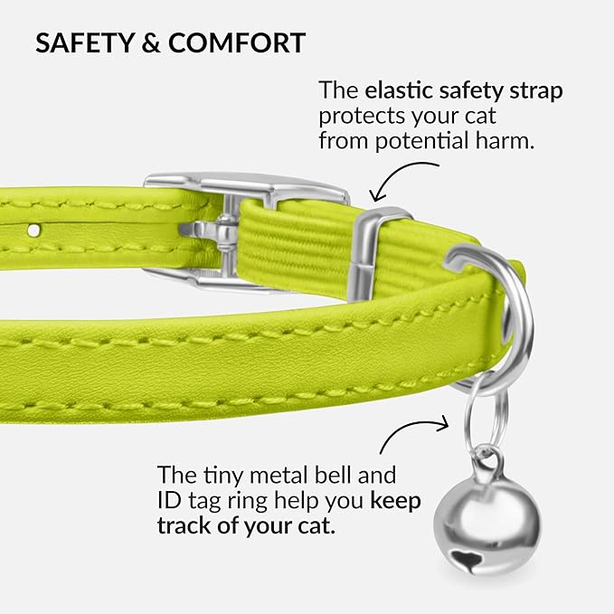 CollarDirect Leather Cat Collar with Bell - Kitten Collar, Small and Big Cat Collar for Boy Cats, Girl Cats with Safety Elastic Strap (Neck Fit 8"-11", Lime Green)