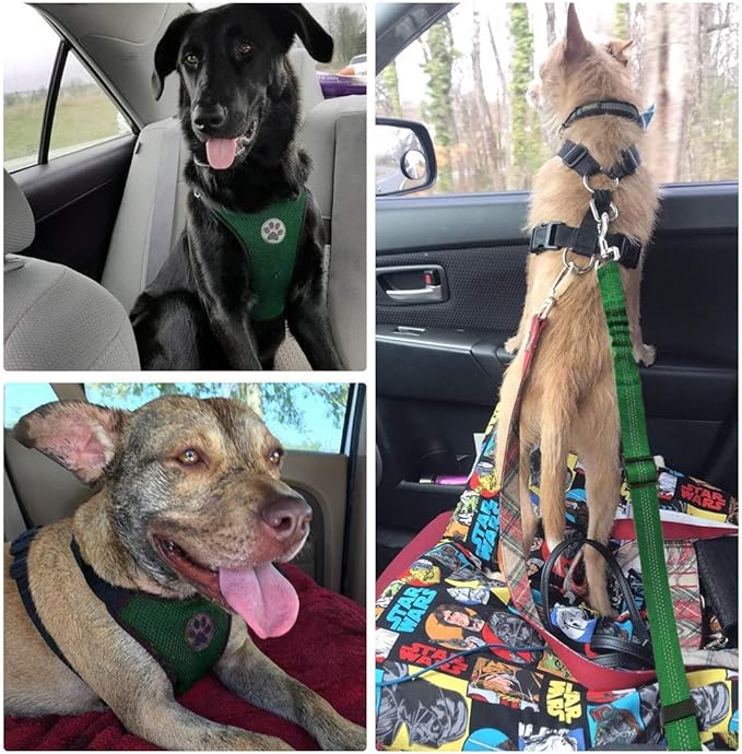 Lukovee Dog Seat Belt - Adjustable Dog Car Harness for Large, Medium & Small Dogs, Soft Padded & Breathable Mesh Dog Seatbelt with Vehicle Connector Strap (Green, Small)