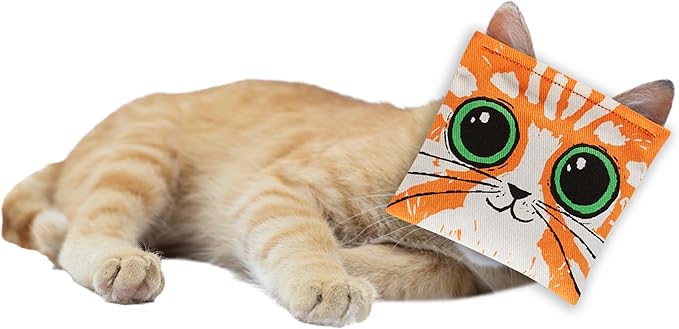 Blue Q Kitty's First Bong Rip Catnip Cat Toy. Premium Organic Catnip Grown in The USA, 100% Cotton Pouches, Kitty Graphics Sure to Delight Every Cat-Keeper.