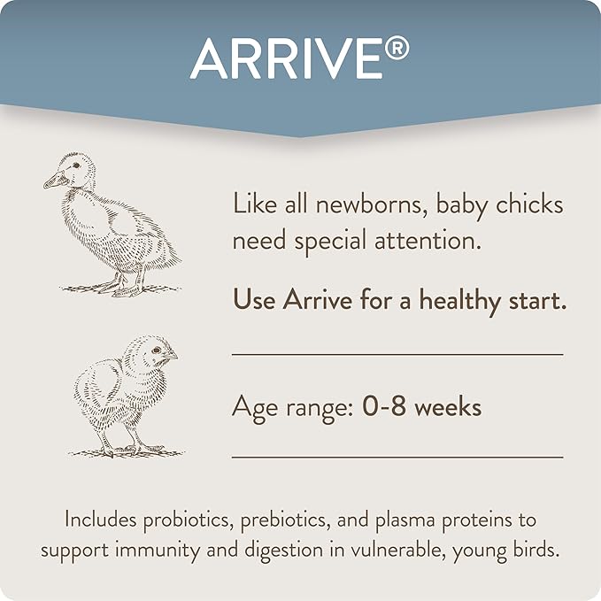Arrive, Daily Probiotic & Prebiotic Poultry Supplement for Young Chickens 0-8 Weeks Old, 8 oz