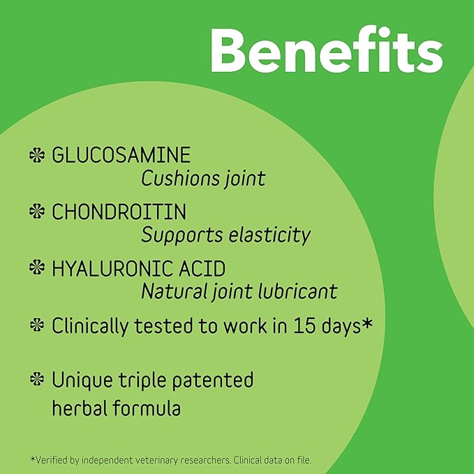 InClover Connectin Hip and Joint Soft Chew Supplement for Dogs, Combines Glucosamine, Chondroitin and Hyaluronic Acid with Herbs, Patented and Clinically Tested to Work in 15 Days, 20 Count