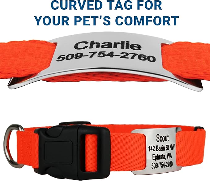 GoTags Personalized Dog Collar with Nameplate, Adjustable Dog Collar with Custom Engraved Slide On Pet ID Tag in Stainless Steel, Silent, No Noise Dog Tag for Large Medium and Small (Orange, Small)