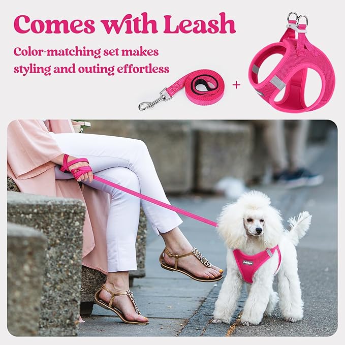 rabbitgoo Dog Harness Small Sized and Leash Set, Step in Soft Light Puppy Vest, Breathable Mesh Pet Harness, Reflective for Safe Easy Walking, Rosa Red XXXS