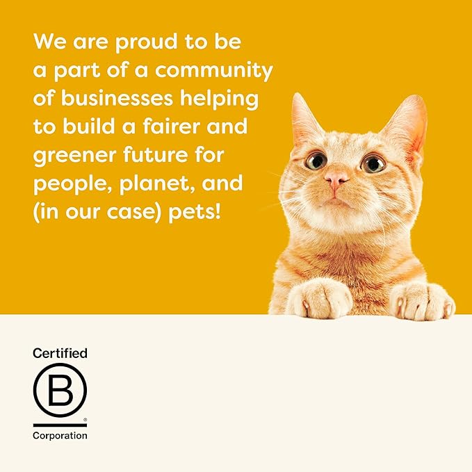 Applaws Natural Wet Cat Food in Broth, Limited Ingredient Canned Wet Cat Food, No Additives, Made with Natural Ingredients, Chicken Selection in Broth Cans (36 x 2.47oz Cans)