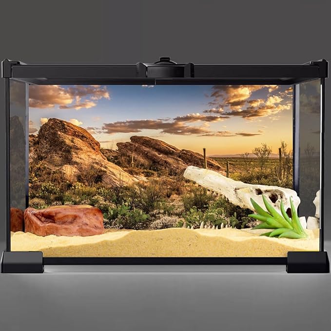 AWERT Reptile Habitat Background Blue Sky Oasis Cactus Sun and Desert Terrarium Background 72x18 inches Durable Polyester Background