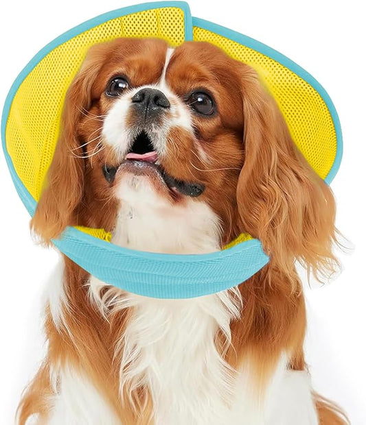 Inspack Soft Dog Cone Collar Alternative, E Cones for Small Dogs/Cat/Puppy to Stop Licking after Surgery, Comfortable All Paws Comfy Elizabethan Collars, Neuter Recovery Ecollars of Shame Alternatives