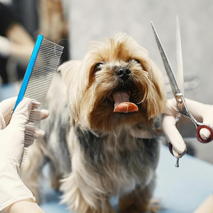 2 Pack Dog Combs with Stainless Steel Teeth Applicable to Cat Dog Comb Removing Tangles Easily Remove Dirt Grooming Anti-Slip Comfort Grip Handle （blue）