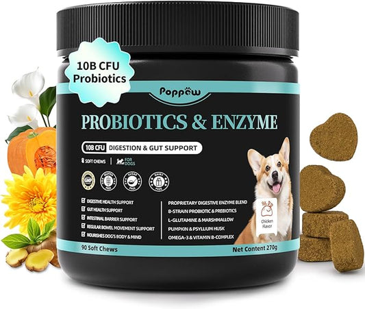 Probiotics for Dogs, Digestive Enzymes for Gut Health Support, Dog Fiber Supplement with Pumpkin for Diarrhea & Bowel Support, Upset Stomach & Gas Relief, Constipation - 90 Count Chicken Flavor