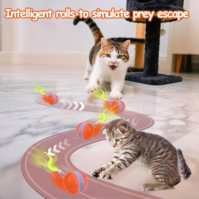 AIERSA Interactive Cat Toys for Indoor Adult Cats, Automatic Self-Play Cat Ball Toy for Kitten to Keep Them Busy, Electric Moving Chase Toy (Orange)