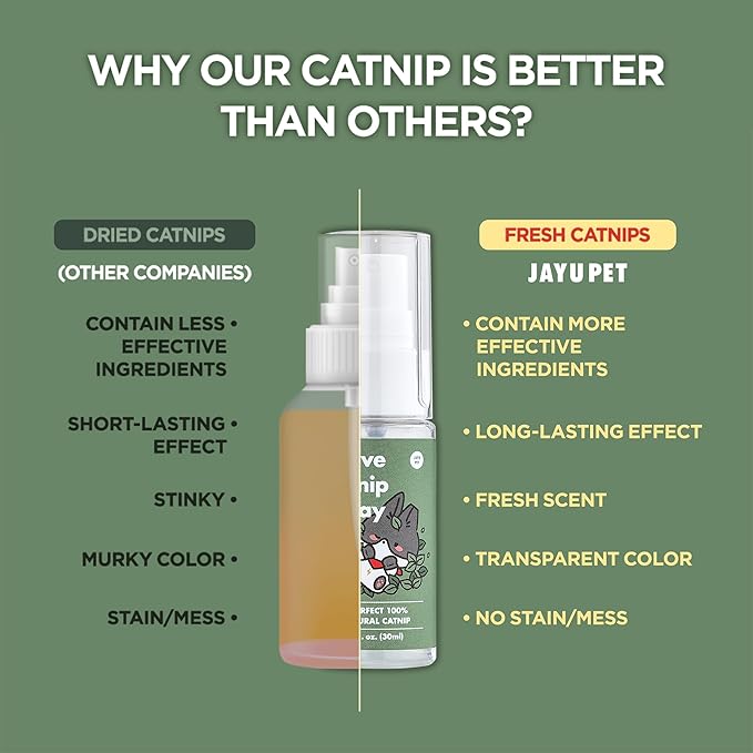 JAYU PET Active Catnip Spray - High Potency Transparent Liquid Spray made of Fresh Organic Catnip for Indoor Cats and Kittens, Relieves Stress, Calming, Revives Toys (1fl oz) (Catnip Spray, 1fl oz)