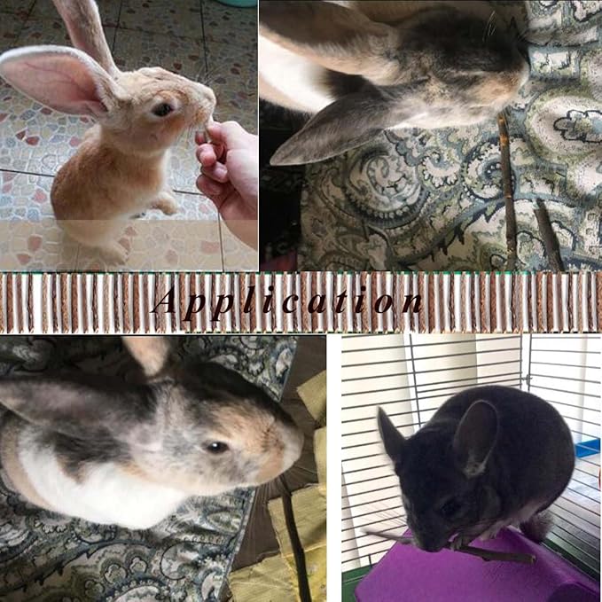 250g Apple Sticks Small Animals Molar Wood Treats Toys for Rabbits Chinchillas Guinea Pig Hamster Gerbil Parrot Bunny and Small Animals Chew Stick Toys Treats