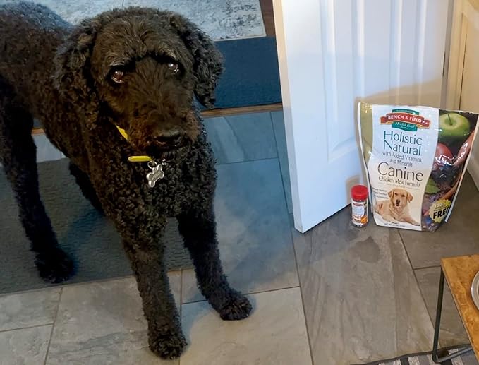 Bench & Field Holistic Natural Adult Dry Dog Food, Chicken Meal and Brown Rice Recipe 6.6 lb Bags (Pack of 4)