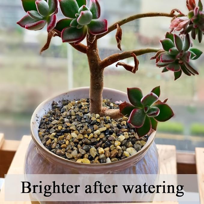 5lbs Aquarium Gravel, Pea Gravel for Indoor Plants,1/4 Inch Decorative River Rocks for Aquarium Succulent Vase Fish Tank Gravel Plant Soil Cover and Outdoor Landscaping Rocks