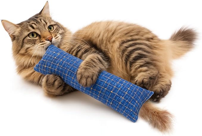 2 Pack Natural Interactive Catnip Cat Kicker Toys, Bite Resistant Chew Toy, Accessories for Indoor Cat (Twill Weave)