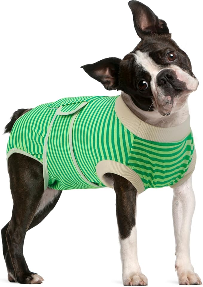 FUAMEY Dog Recovery Suit Male,Dogs Surgery Neuter Suits Puppy Spay Shirts for Female Protect Dog's Skin Anti Licking Abdominal Wounds Doggie Onesie Pet Bodysuit Alternative to Cone Green Stripes L