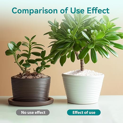 2.5 lbs Small White Rocks for Planters, 3/8" White Pebbles for Vases, Decorative Small Stones for Plants, Succulents, Bamboo, Terrarium, Landscape, Garden