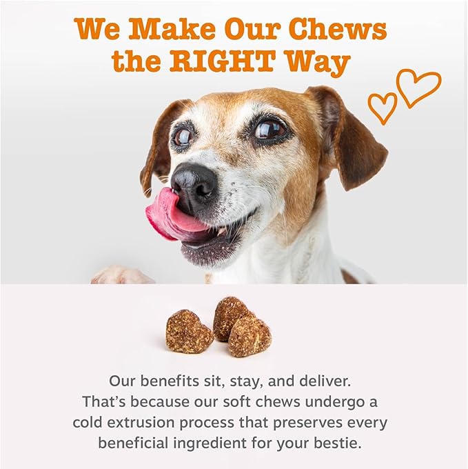 Zesty Paws Dog Multivitamin, Chewable Dog Vitamins and Supplements for Hip & Joints, Skin & Coat, Omega 3 Fish Oil for Dogs- Senior & Puppy Multivitamin- Peanut Butter- 50ct