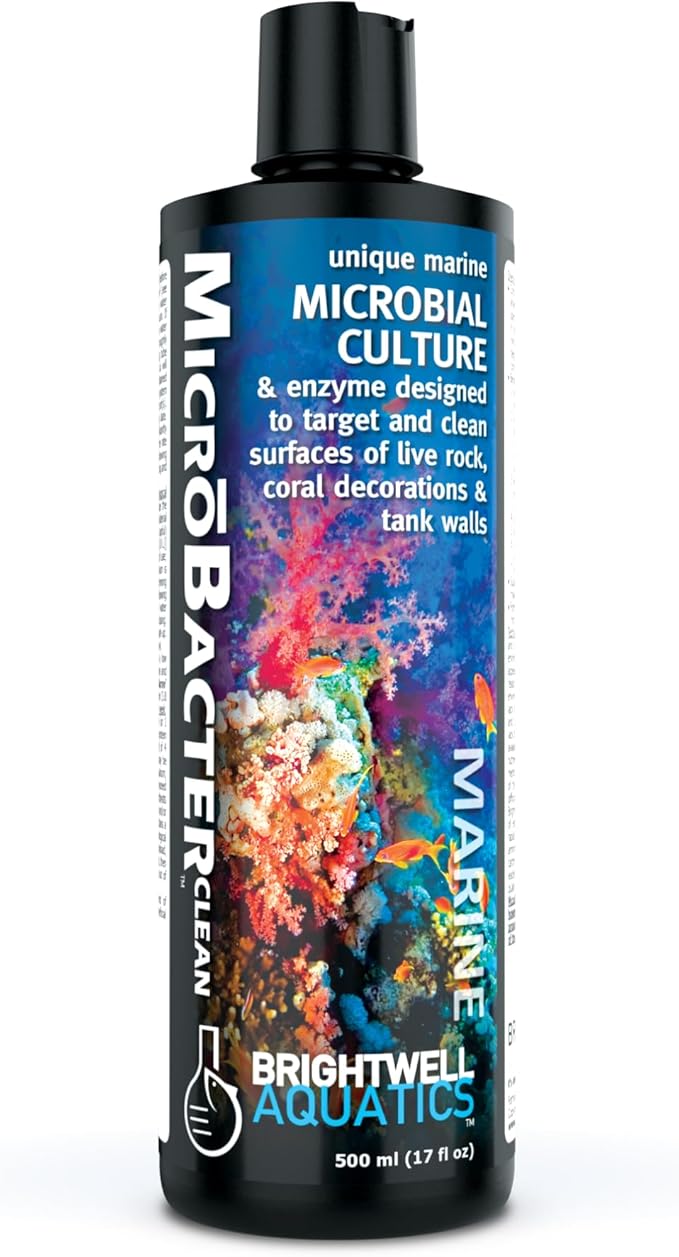 Brightwell Aquatics MicroBacter Clean - Microbial Culture & Enzyme Blend Fish Tank Cleaner - Cleans Live Rock Surfaces for Saltwater Fish Habitats - Aquarium Water Treatments, 16.9 fl oz