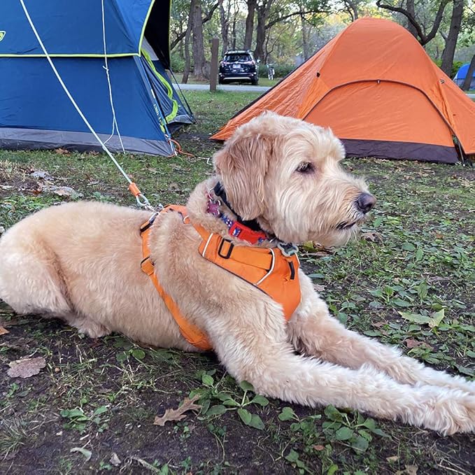 BV Dog Tie Out Cable 25 Feet - Heavy Duty Dog Lead Up to 90 Pounds - Reflective & Rust-Free with Quick Release Swivel Clips & 360° Rotating Clasp - Tangle-Free Dogs Runner for Yard (Silver, Pair)