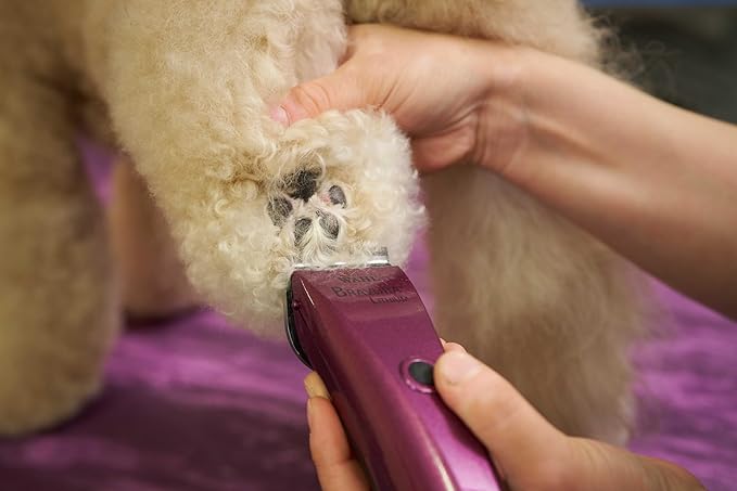 WAHL Professional Animal Bravura Lithium Ion Clipper - Pet, Dog, Cat, and Horse Corded/Cordless Clipper Kit, Purple (41870-0423)