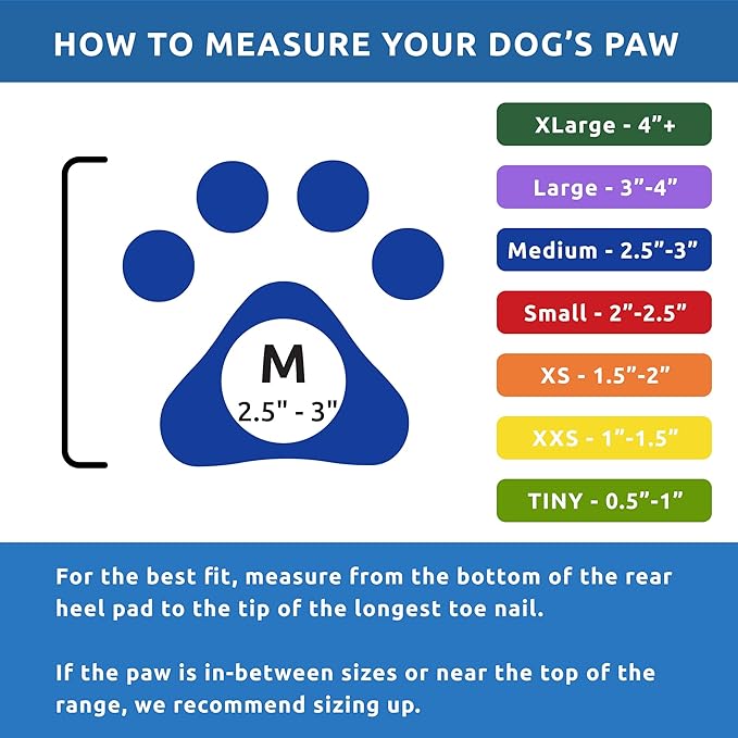 PawZ Rubber Dog Boots for Paws up to 3", 24 Total (2 Packs of 12) - All-Weather Dog Booties for Hot Pavement, Snow, Mud, and Rain - Waterproof, Anti Slip Dog Socks - Medium, Blue