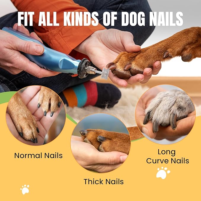 CAELUM Diamond-Coated Pet Nail Grinder Bit, 1/8” Shank for Dremel Nail Tools, Durable & Low-Noise Nail Trimmer for Dogs, Top & Side Grinding, Gentle, Precise Nail Grooming（80grit）