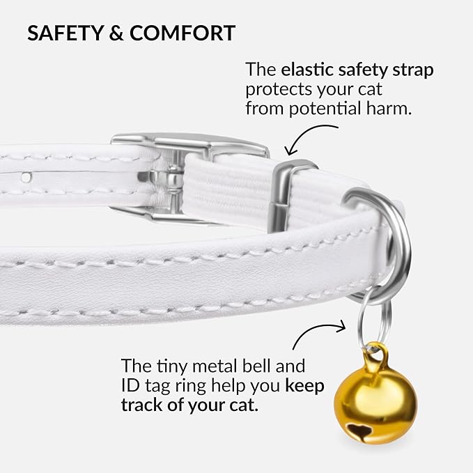 CollarDirect Leather Cat Collar with Bell - Kitten Collar, Small and Big Cat Collar for Boy Cats, Girl Cats with Safety Elastic Strap (Neck Fit 6"-7", White)