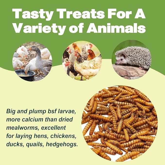 20LB Dried Black Soldier Fly Larvae, 86X Calcium Than Dried Mealworms, High Protein Non-GMO Organic Chicken Feed